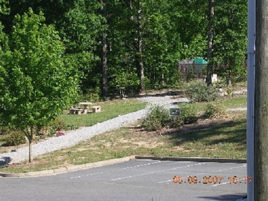 Tammy's Park Tammy's Park
