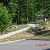 Tammy's Park
